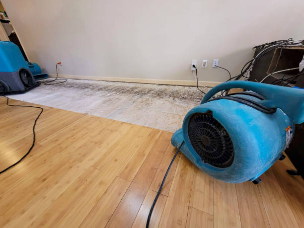 Professional Structural Drying technician working in North Weymouth, MA